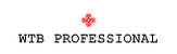 WTB PROFESSIONAL WTB PROFESSIONAL