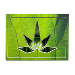 WELLNESS PREMIUM PRODUCTS Badebomben 6St