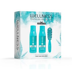 WELLNESS PREMIUM PRODUCTS Deep Hydrating hårset (schampo 500ml | balsam 500ml | blå borste - liten)