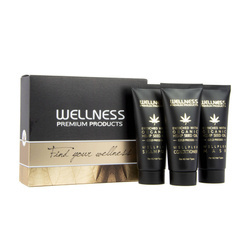 WELLNESS PREMIUM PRODUCTS Wellplex mini-regenereringsset för sprött hår (schampo 50ml | balsam 50ml | mask 50ml)