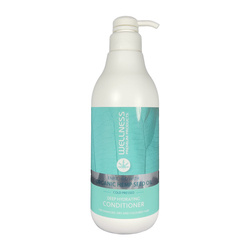 WELLNESS PREMIUM PRODUCTS Deep Hydrating Conditioner für tiefenwirksame Feuchtigkeit 1000 ml