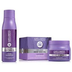 WELLNESS PREMIUM PRODUCTS silver sett (sjampo 500ml, hårmaske 500ml)